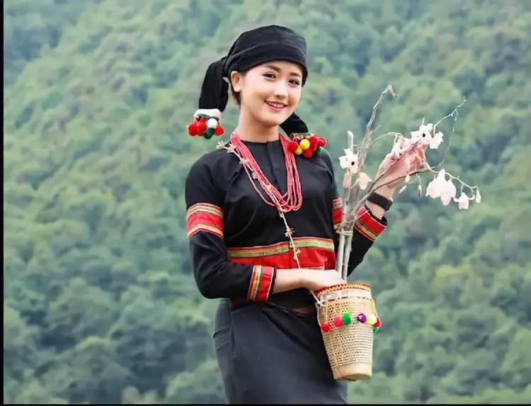 Lacid voidbyi: voidmyi